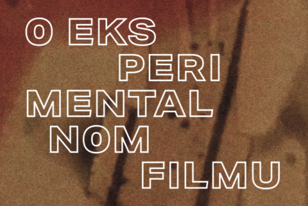 Noć knjige: O eksperimentalnom filmu: Pojam, konteksti, povijesni pregledi portreti - autor: Hrvoje Turković